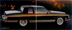 1980 Pontiac-17